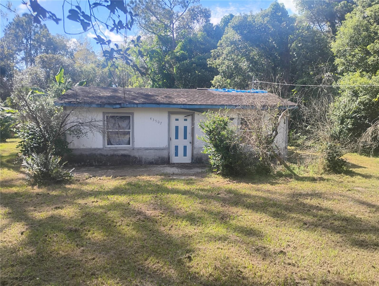 43907 Marie Ave Property Photo 2