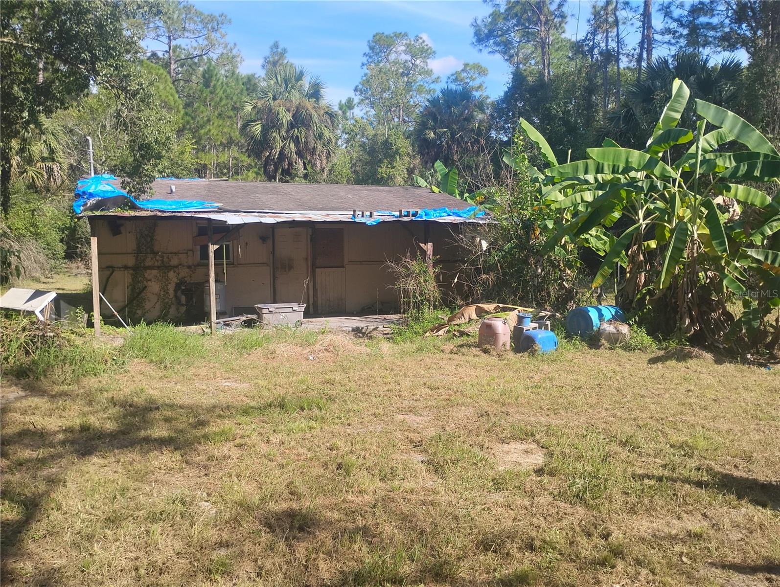 43907 Marie Ave Property Photo 6