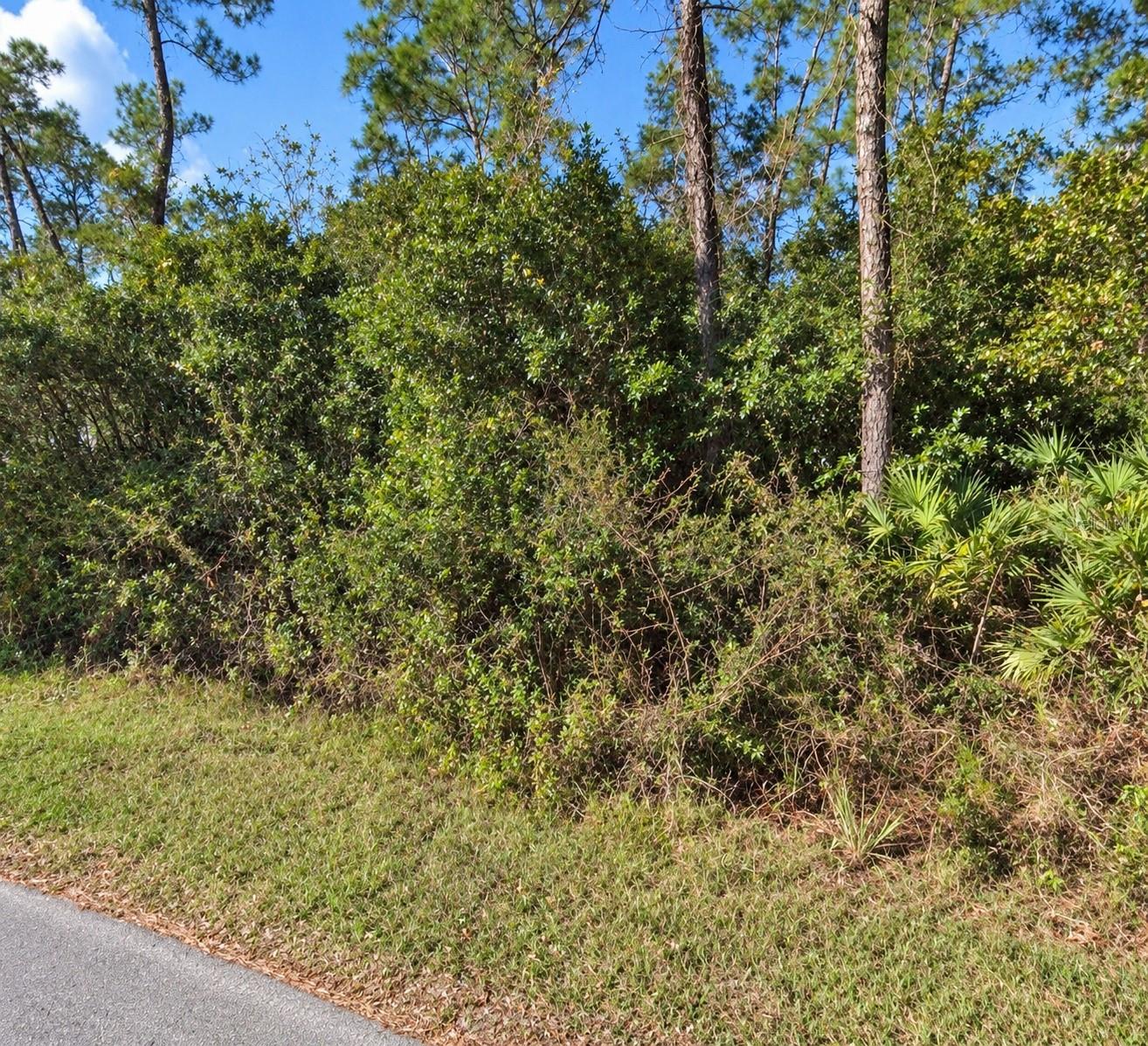 Coon Rd Property Photo 1