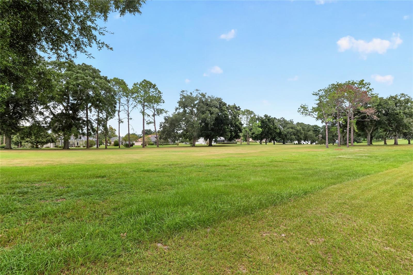 205 E Falconry Ct Property Photo 84