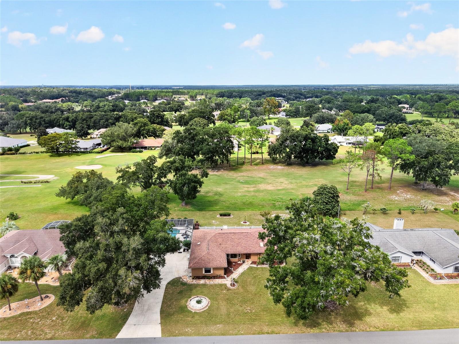 205 E Falconry Ct Property Photo 92