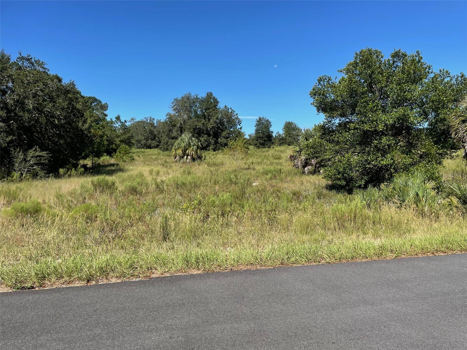 Lot 14 Sw Wisteria Ct Property Photo 2