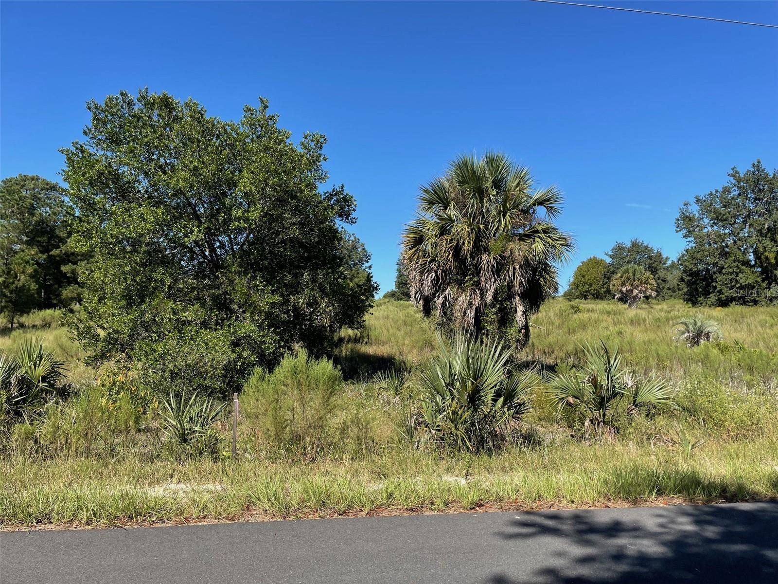 Lot 14 Sw Wisteria Ct Property Photo 3