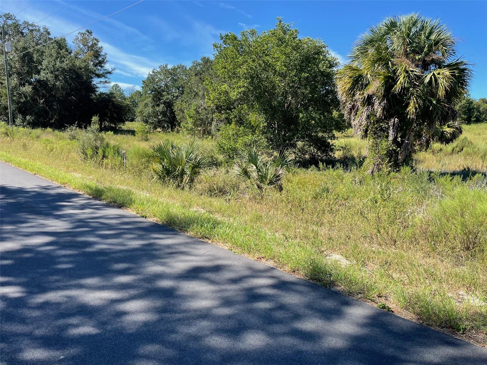 Lot 14 Sw Wisteria Ct Property Photo 4