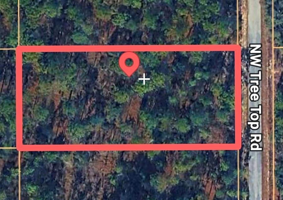 Tree Top Road Property Photo 3