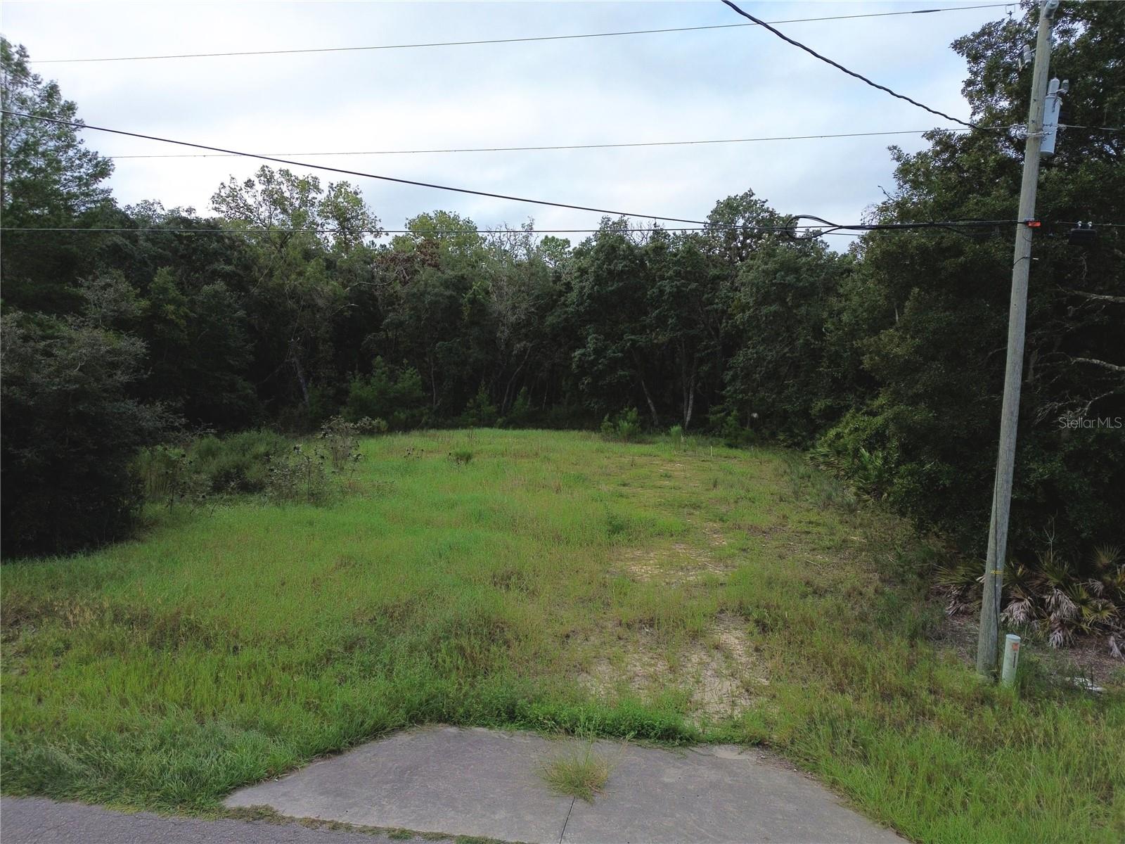 106 Guava Pass Property Photo 3