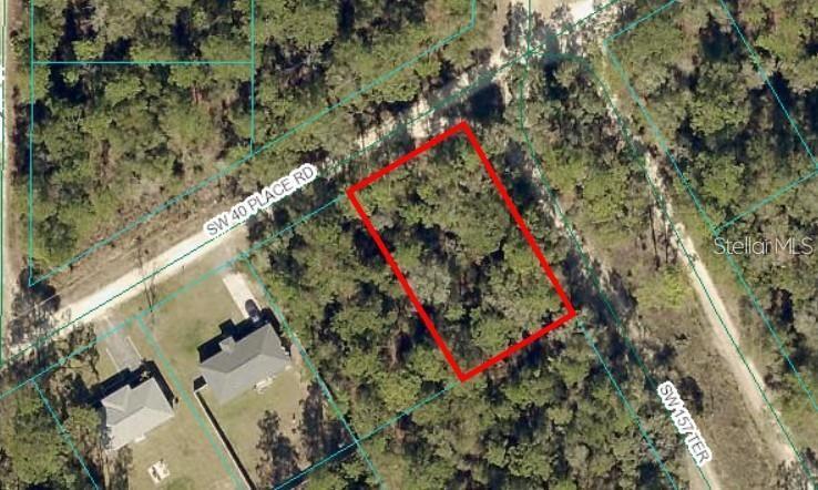Tbd Sw 40th Place Rd Property Photo 1