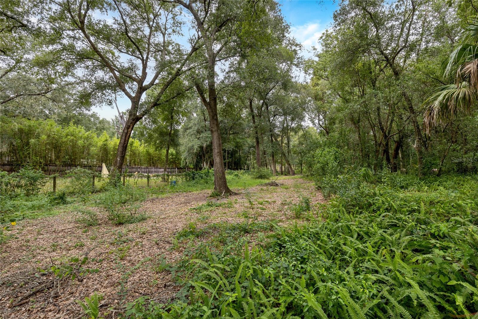 1319 Quintuplet Dr Property Photo 19