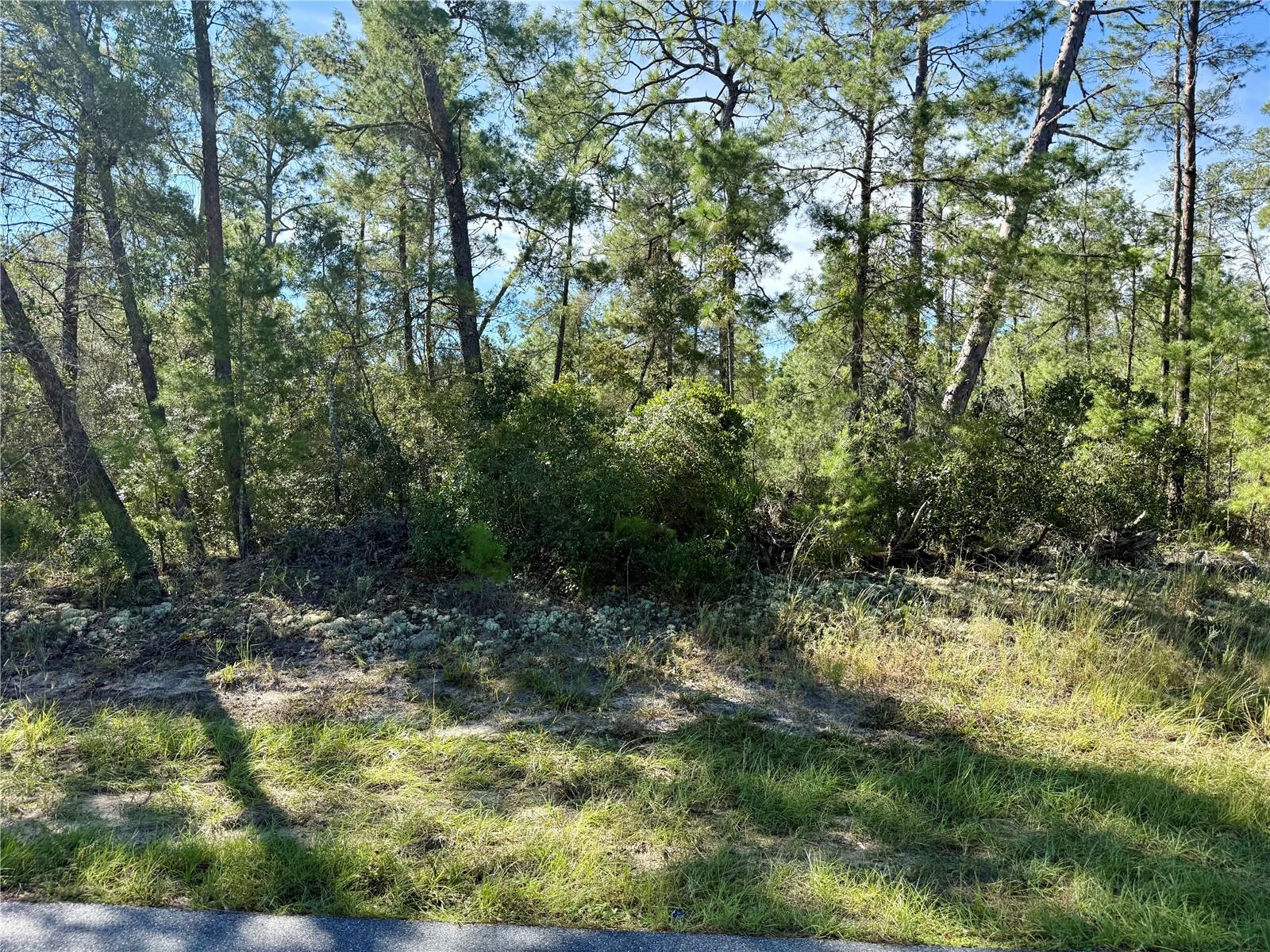 4419 W Malaluka Cir Property Photo 7
