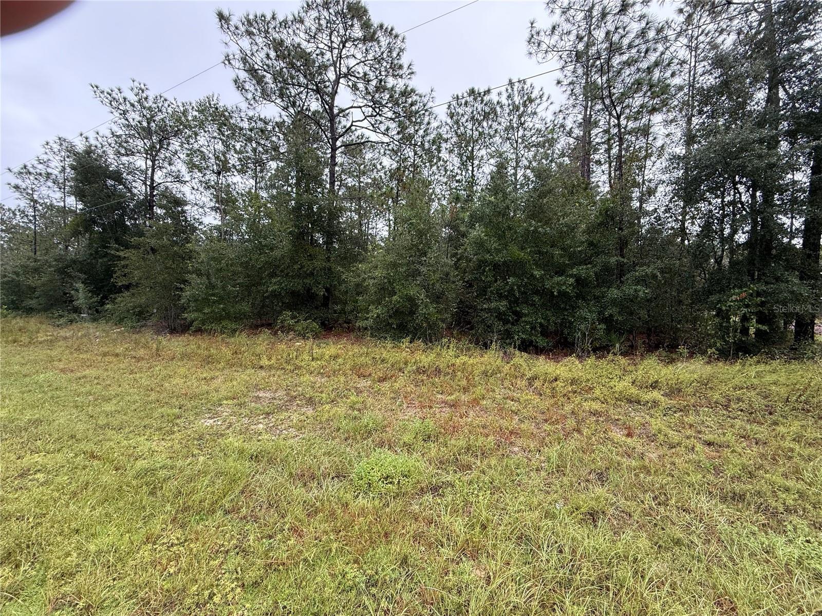 0 Sw Marion Oaks Course Property Photo
