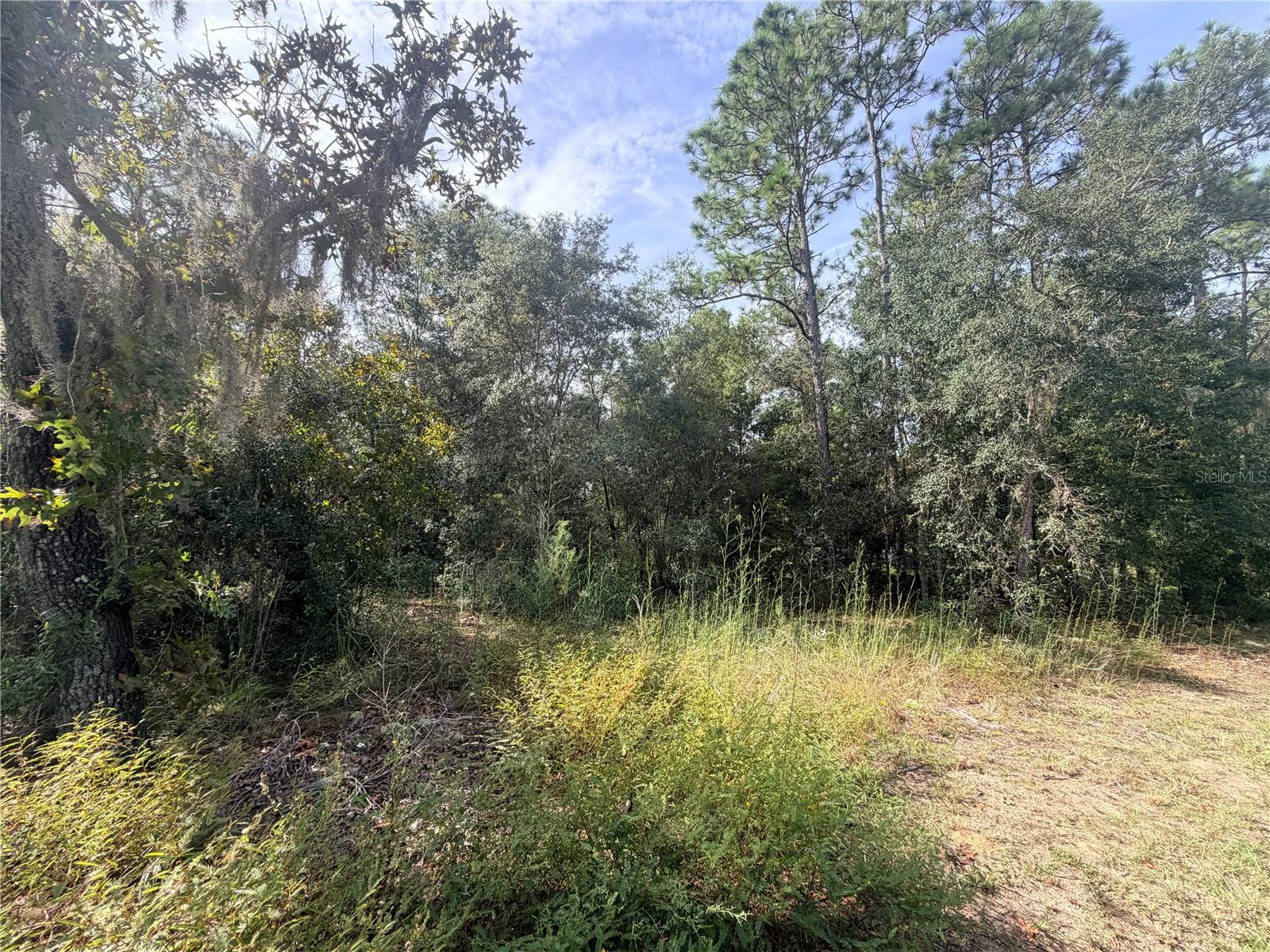 5066 E Anna Jo Dr Property Photo 1