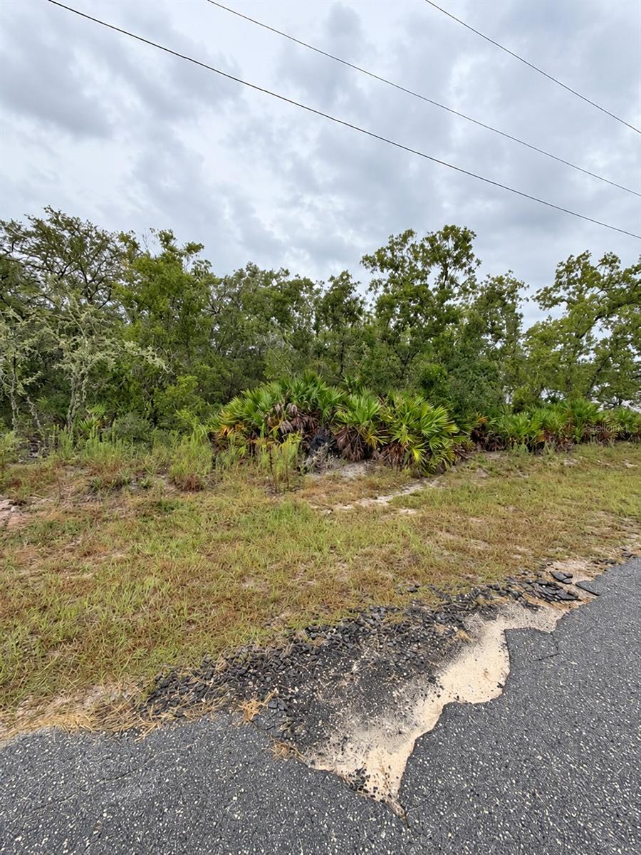 0 Fisher Loop Crse Property Photo 5