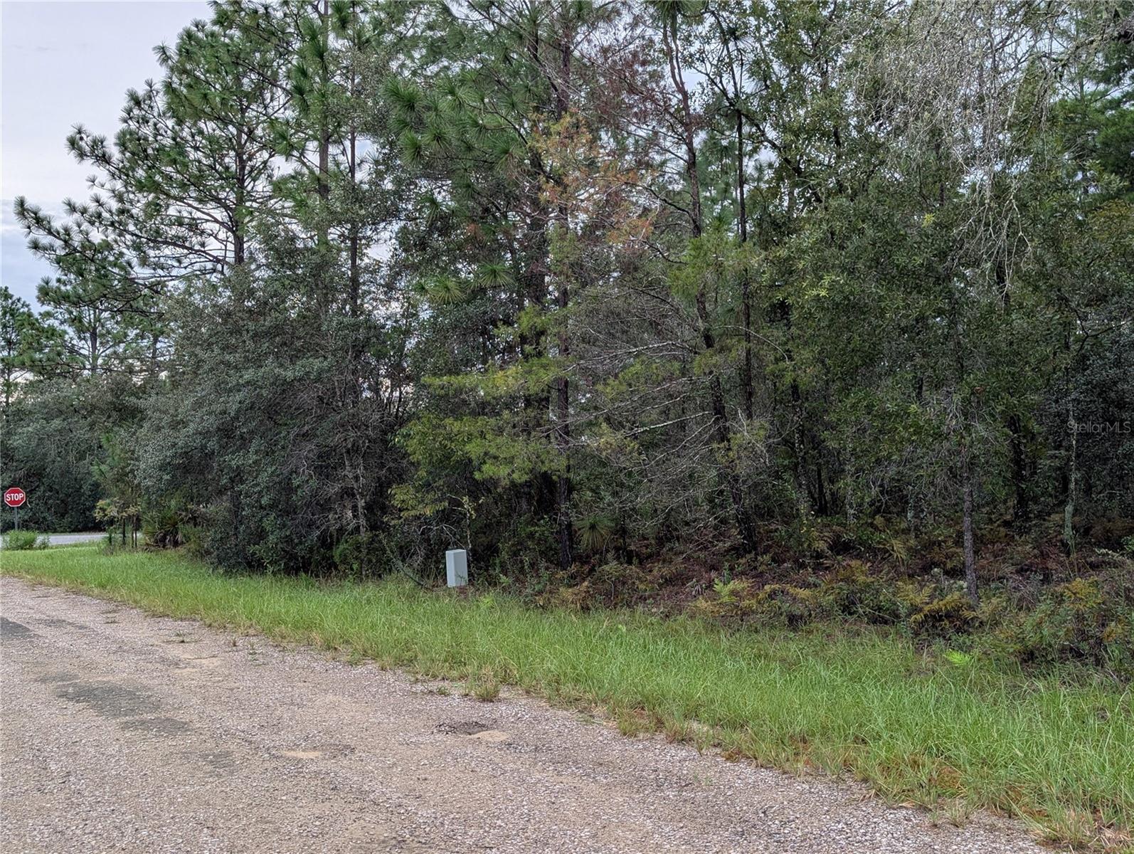 6443 N Dorian Ter Property Photo 3