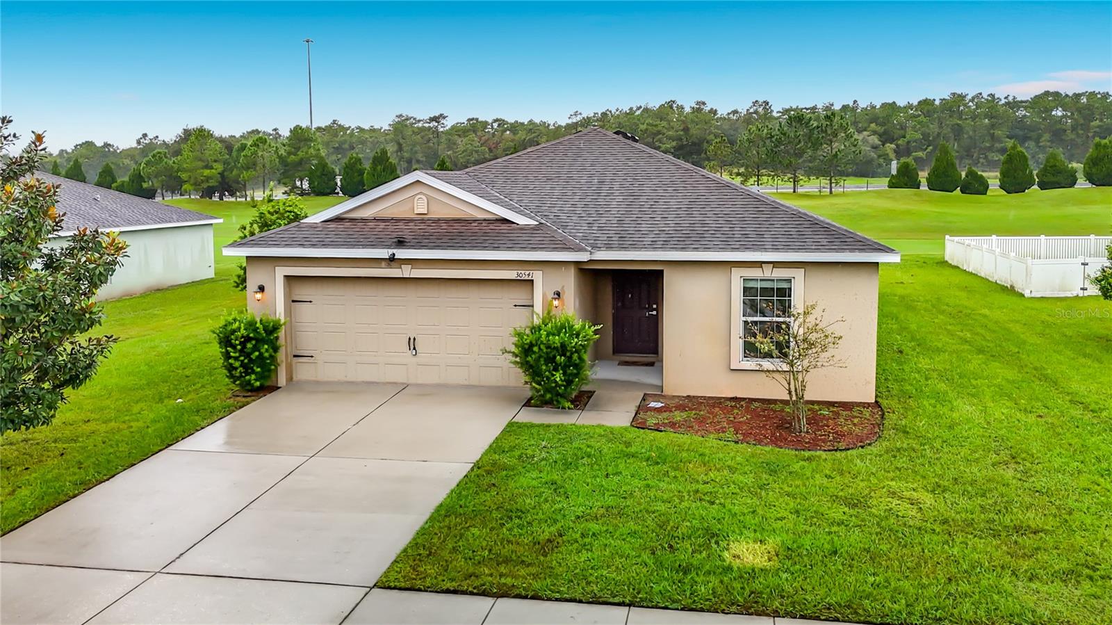 30541 SATINLEAF RUN Property Photo 1