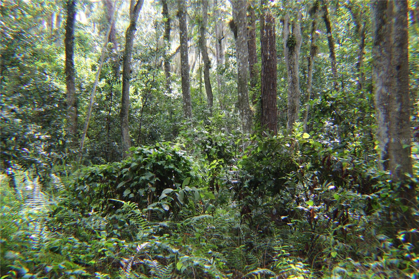 11148 Shore Dr Property Photo 8