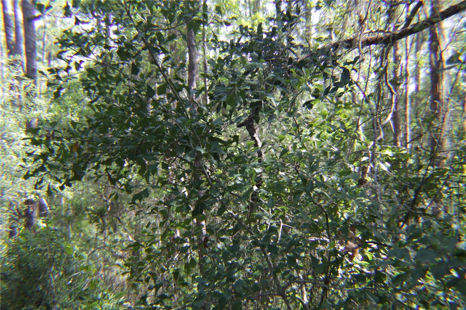 11148 Shore Dr Property Photo 9
