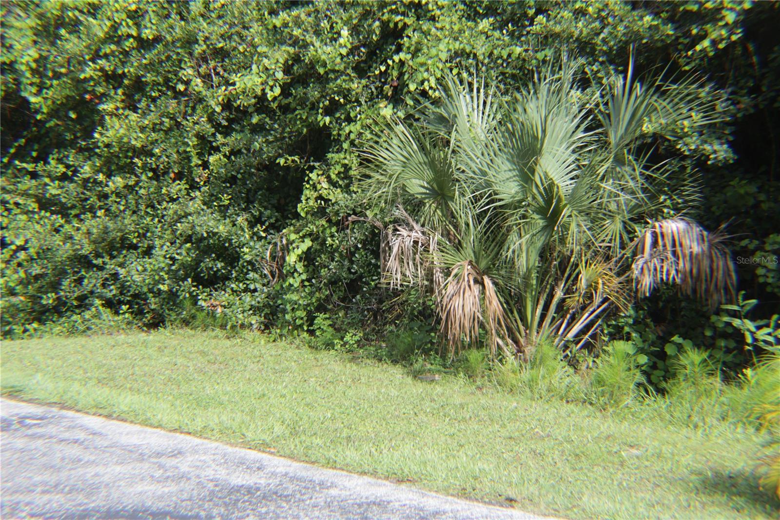 11148 Shore Dr Property Photo 11