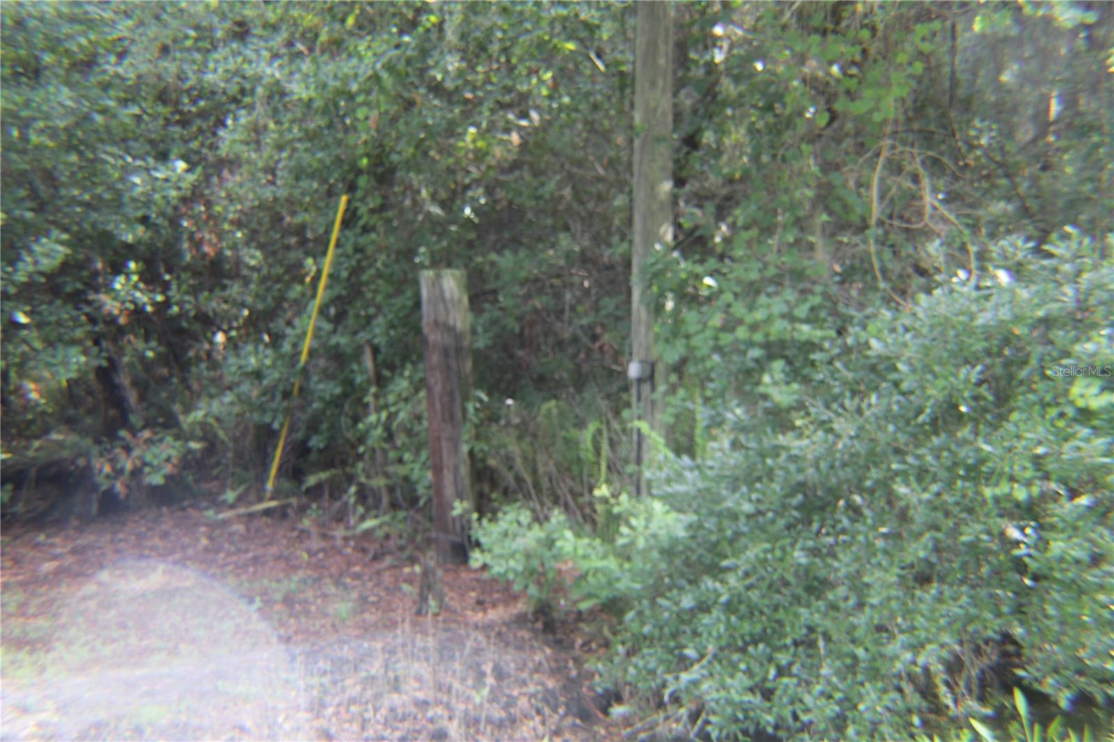 11148 Shore Dr Property Photo 12