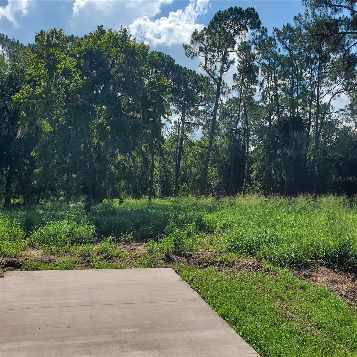 Pollard Road Property Photo 6