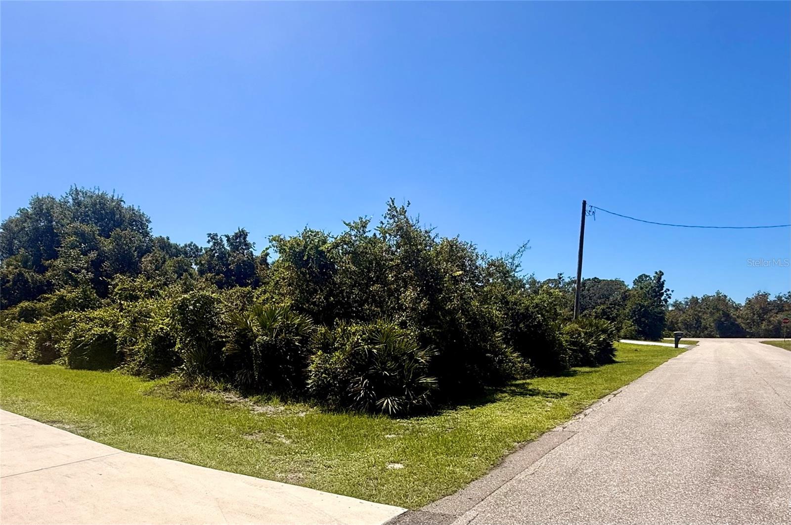 2228 Wakefield St Property Photo 4