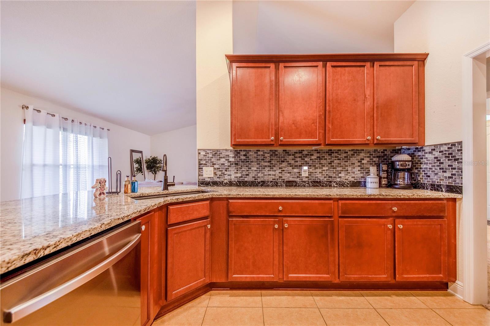1518 Blue Sky Blvd Property Photo 14