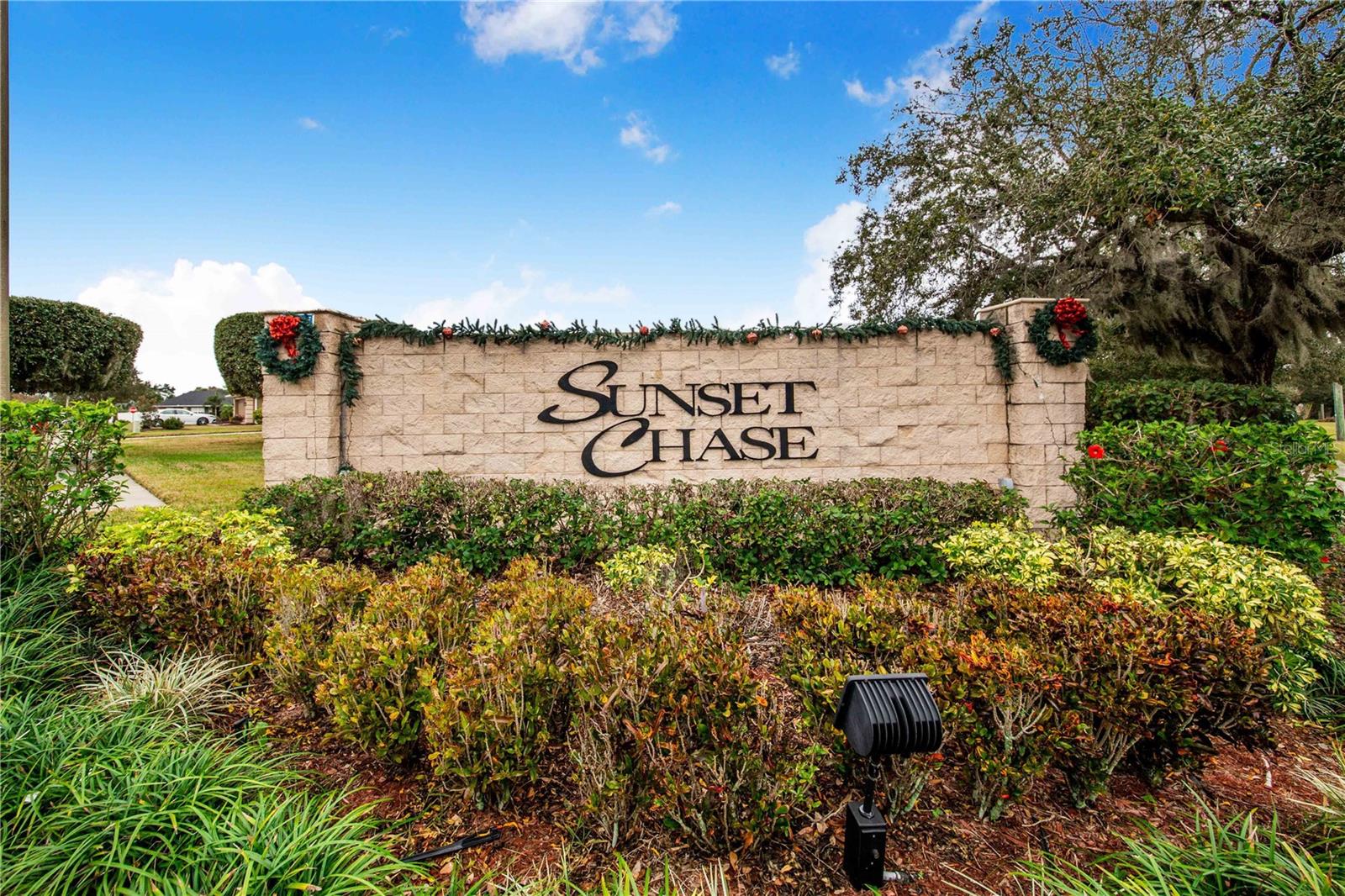 1518 Blue Sky Blvd Property Photo 37