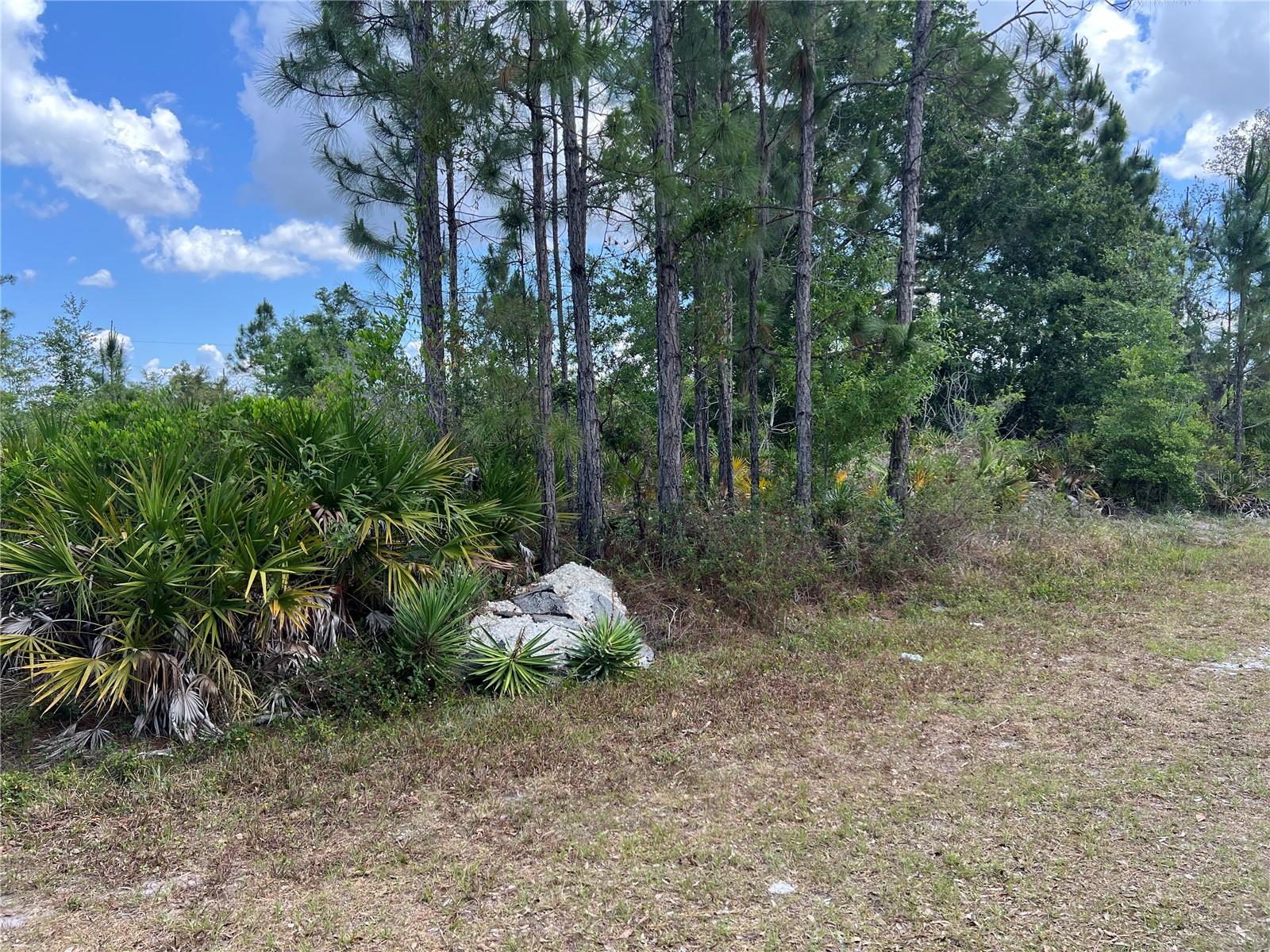 506 Magnolia Dr Property Photo 1