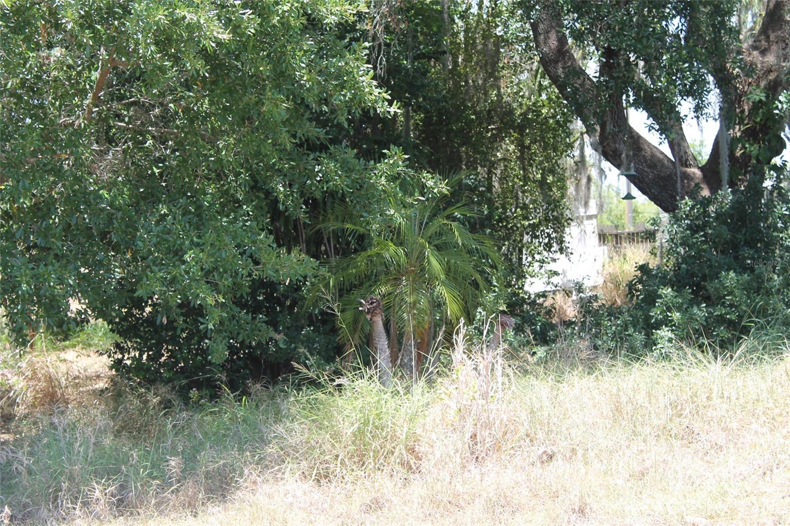 0 Sunset Trl Property Photo 2