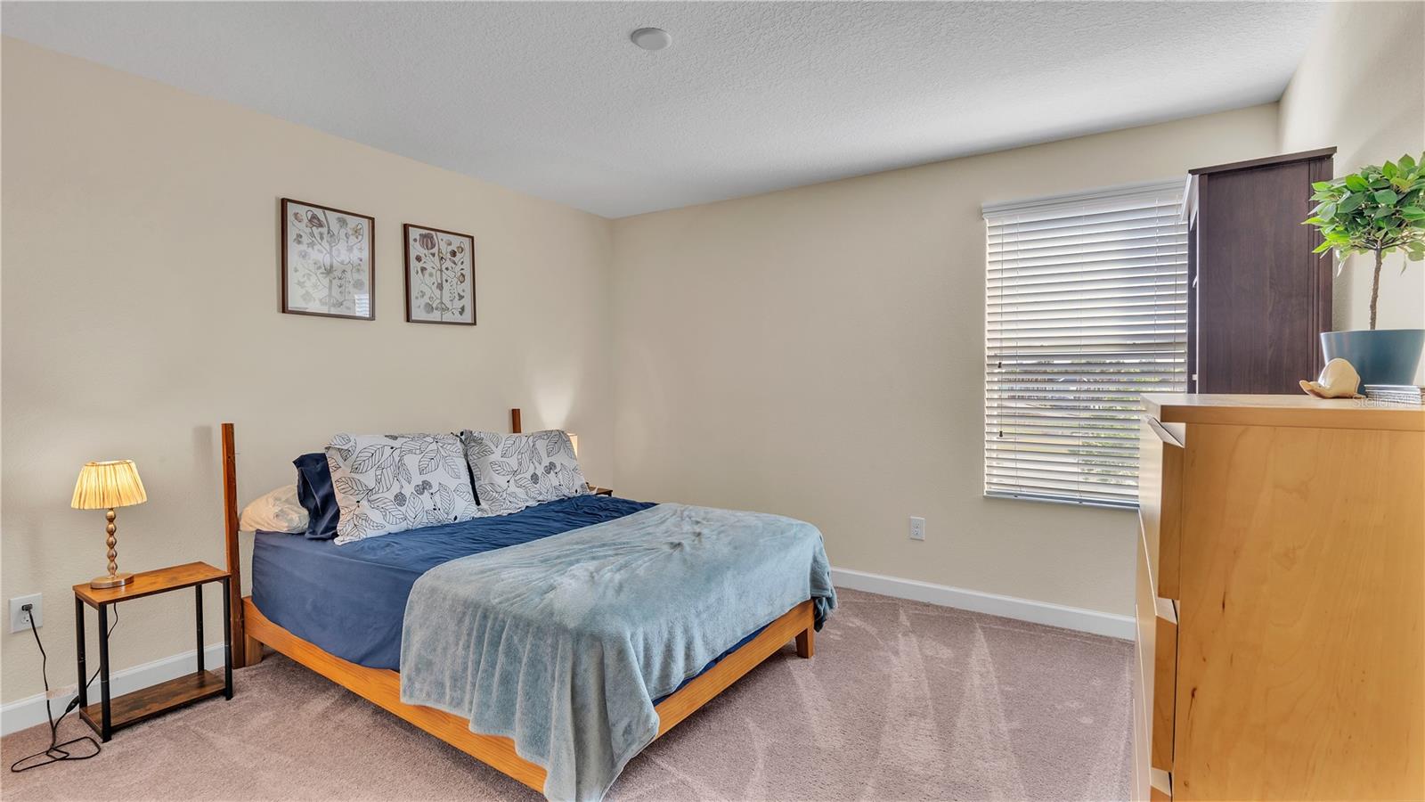 11928 Frost Aster Dr Property Photo 38