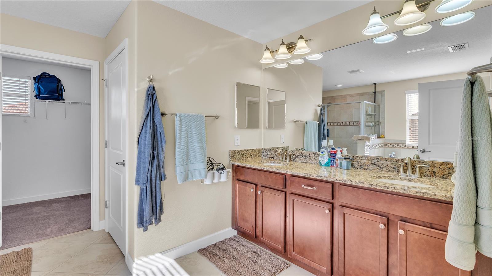 11928 Frost Aster Dr Property Photo 45