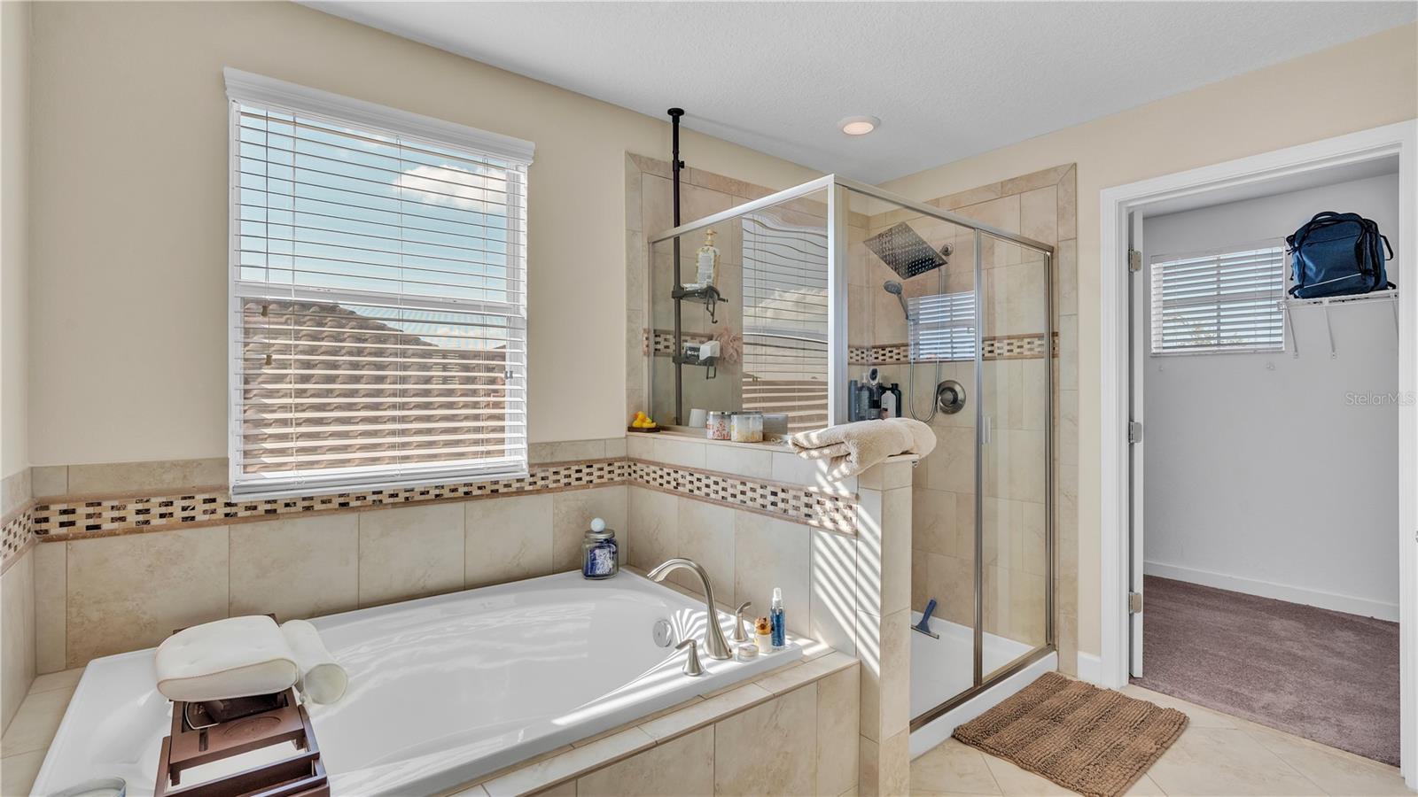 11928 Frost Aster Dr Property Photo 46