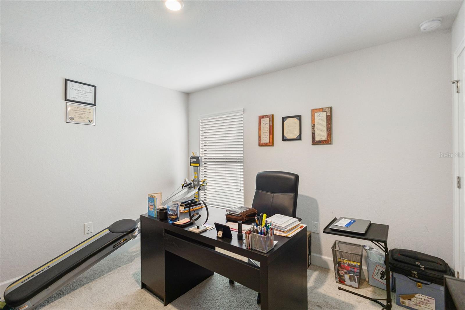 6421 Alamanda Hills Dr Property Photo 30