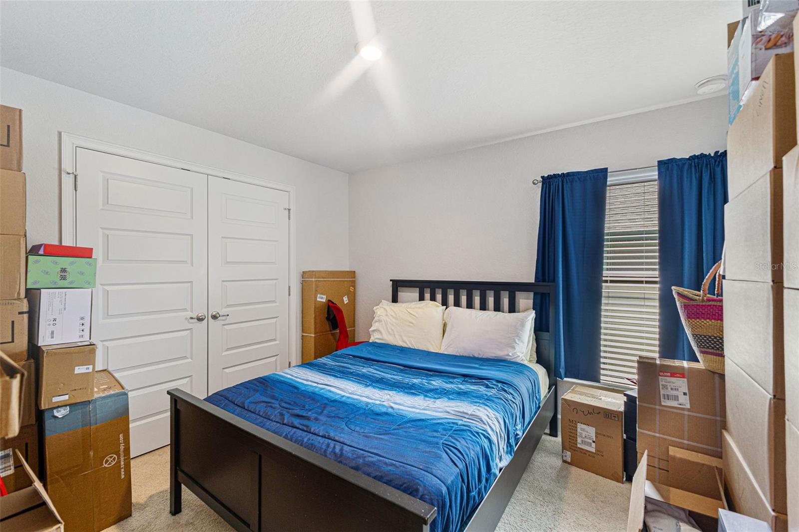 6421 Alamanda Hills Dr Property Photo 34