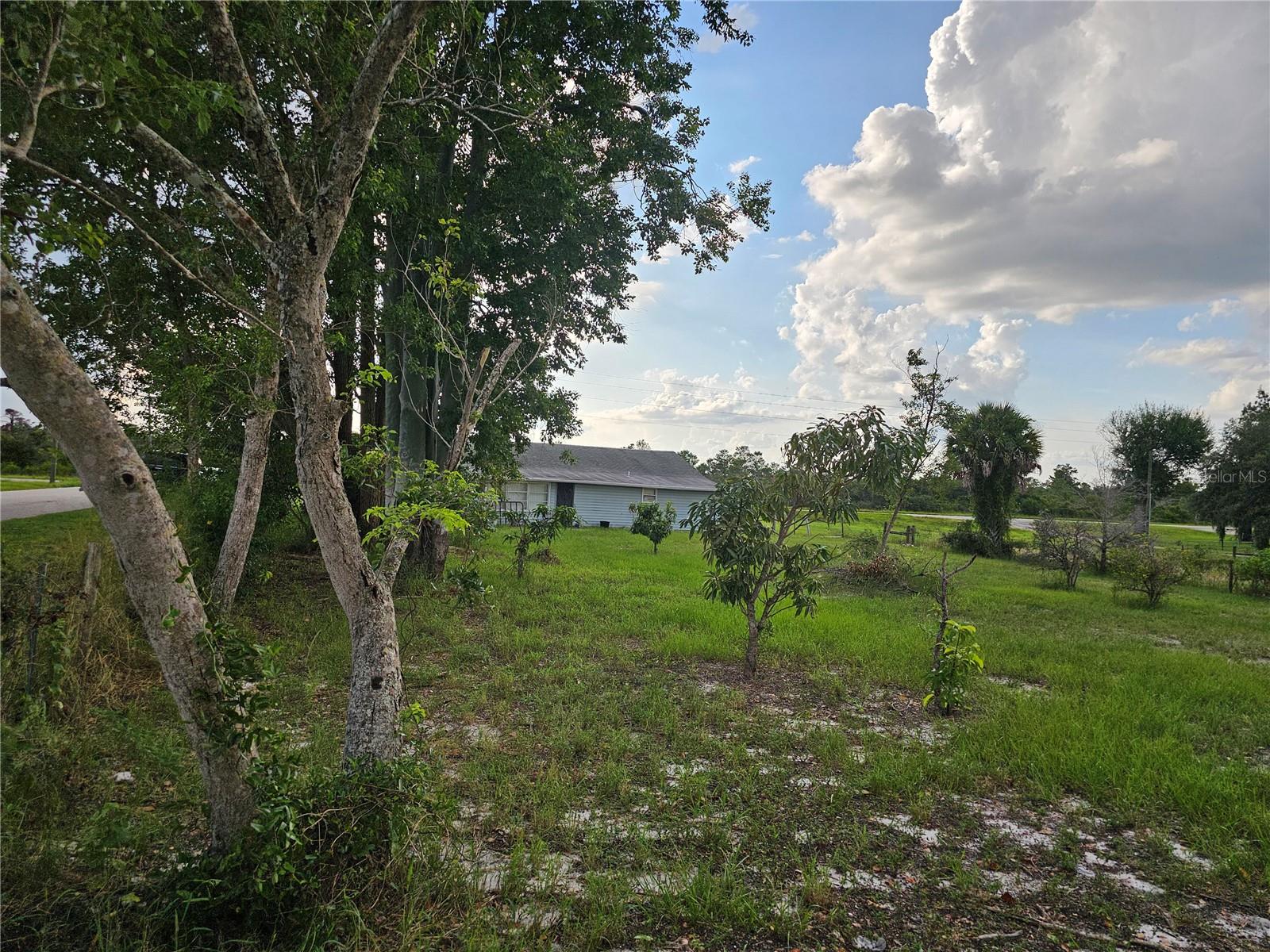 320 County Road 619 Property Photo 27