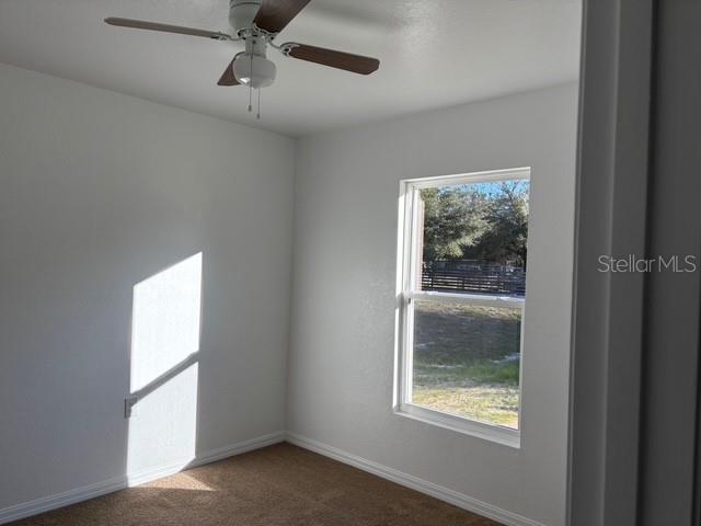 833 3rd Ave Property Photo 14