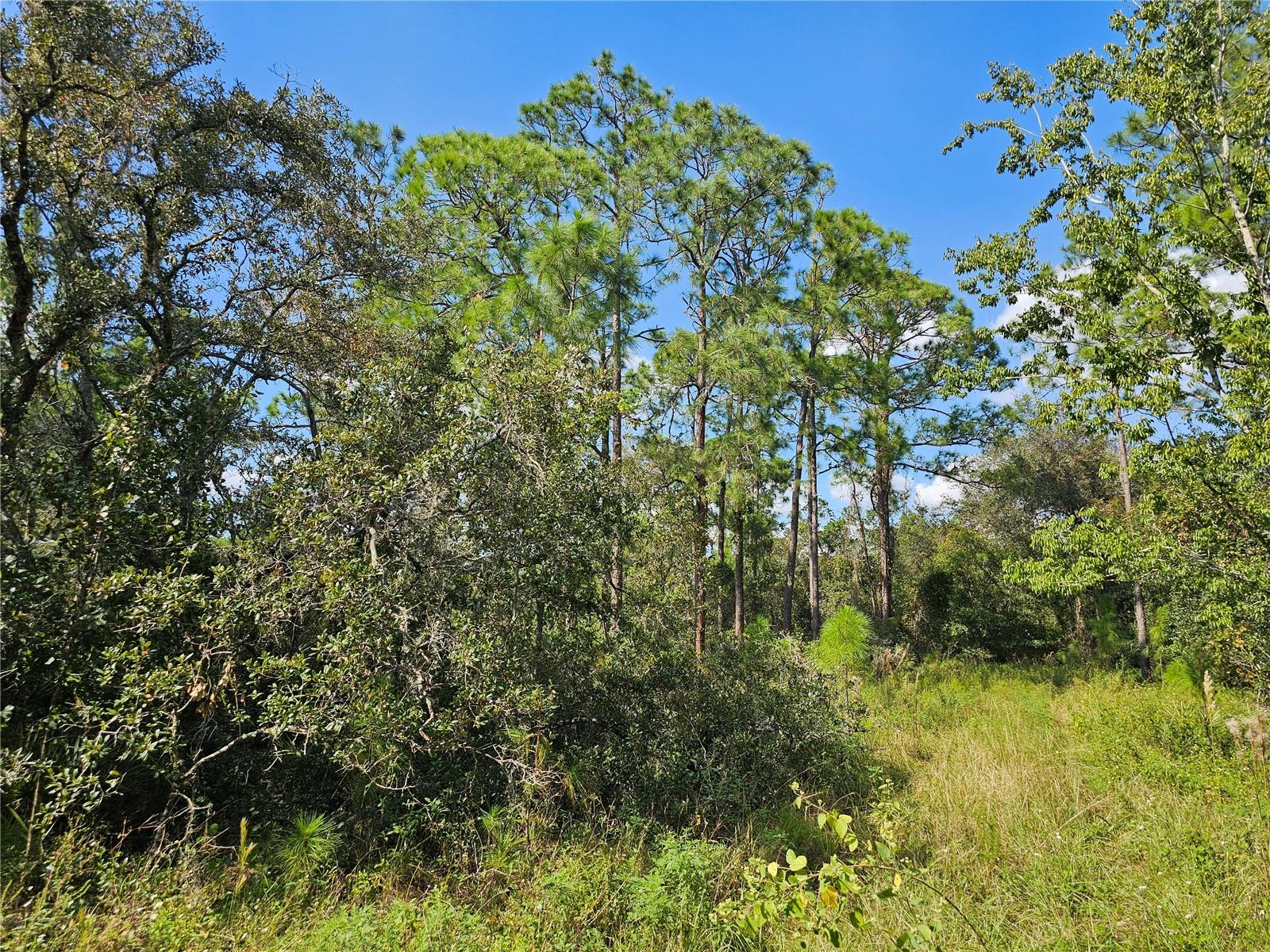 7105 Orchid Pl Property Photo 2