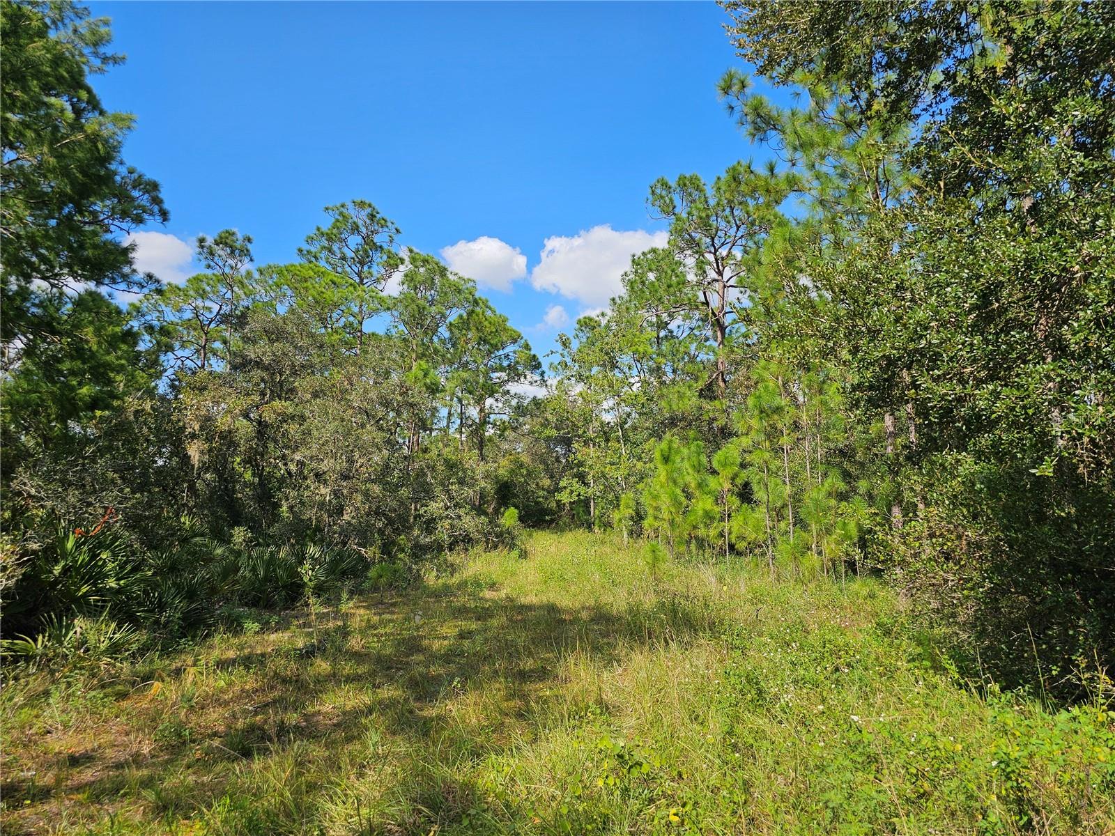 7105 Orchid Pl Property Photo 3