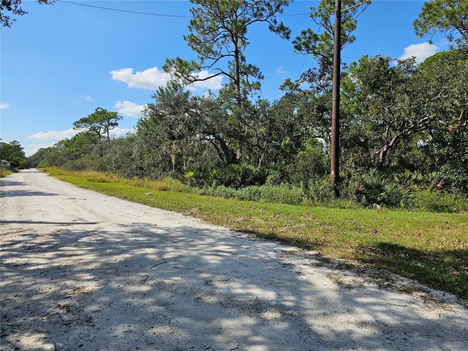 7105 Orchid Pl Property Photo 5