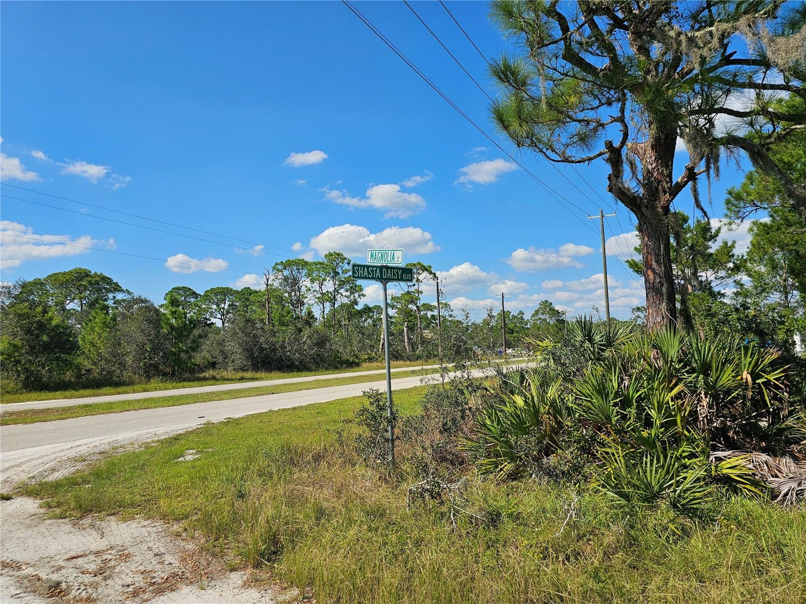 7105 Orchid Pl Property Photo 7