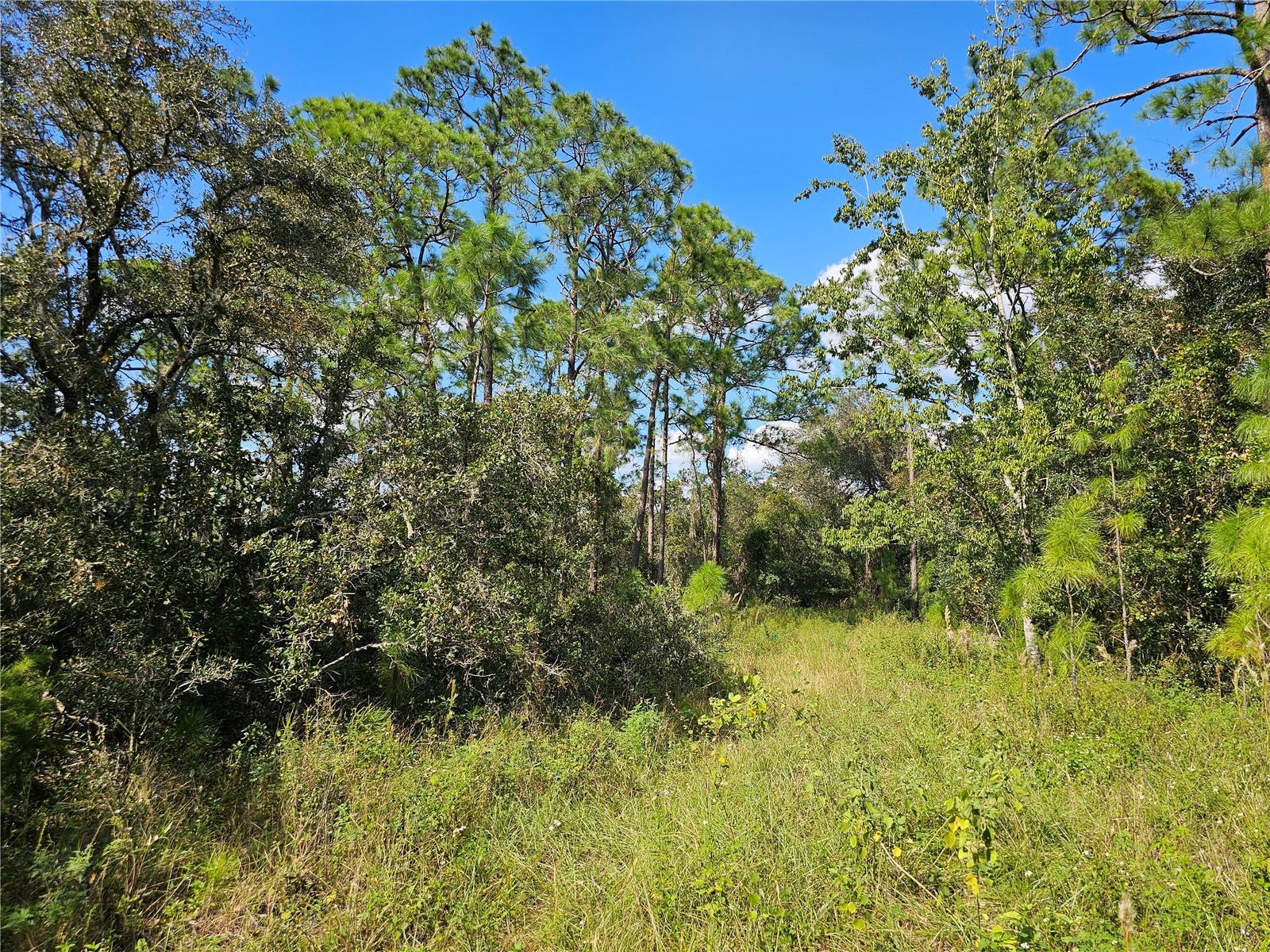 7105 Orchid Pl Property Photo 8