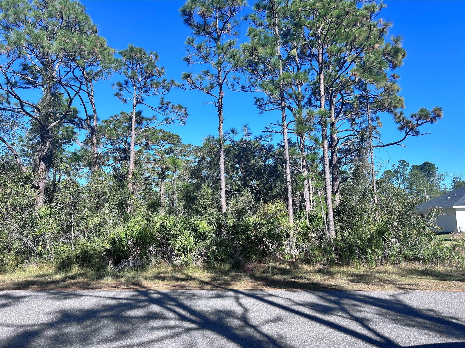 616 Poinciana Dr Property Photo 1