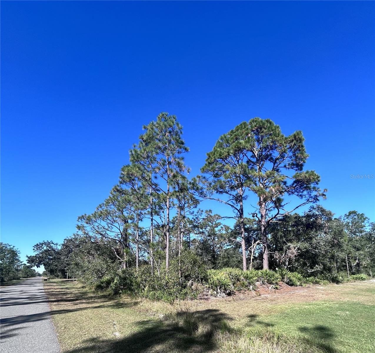616 Poinciana Dr Property Photo 2
