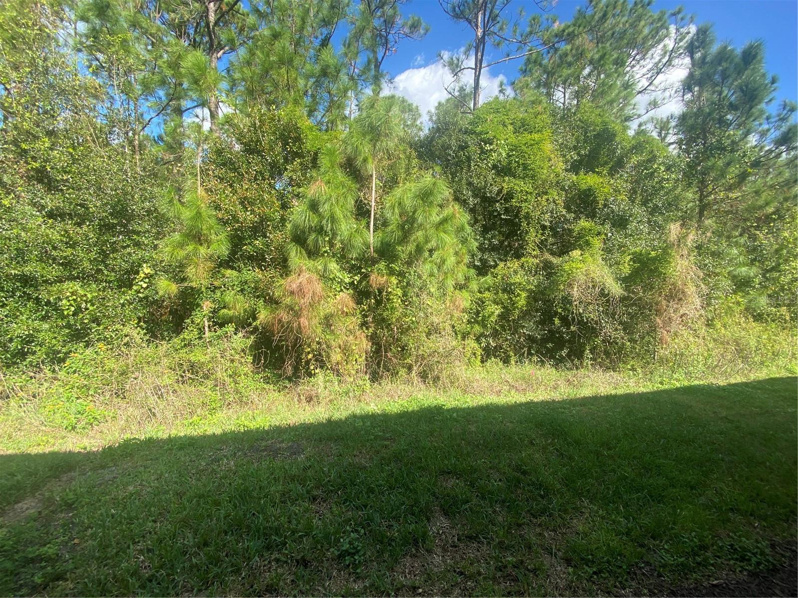 1561 Vienna Square Dr Property Photo 32