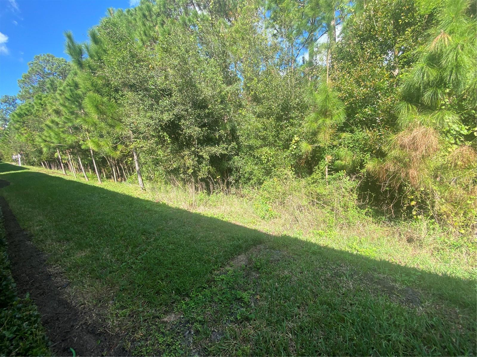 1561 Vienna Square Dr Property Photo 33