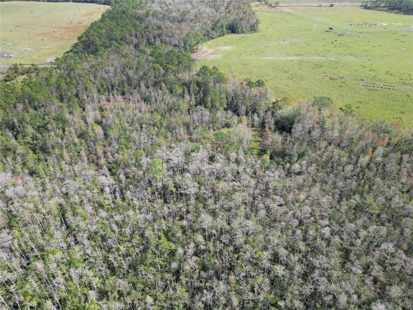 Pace Rd Property Photo 3