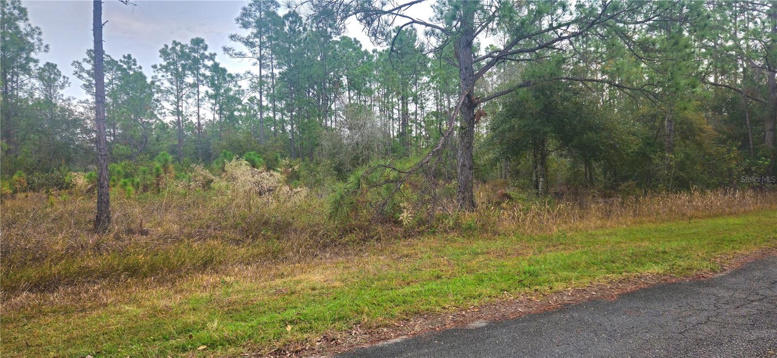 408 Pandora Dr Property Photo 3