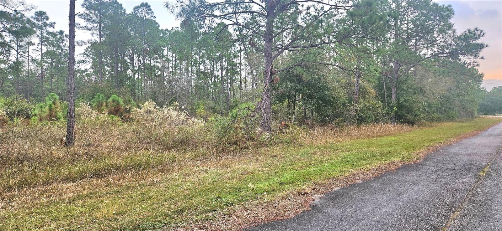 408 Pandora Dr Property Photo 4