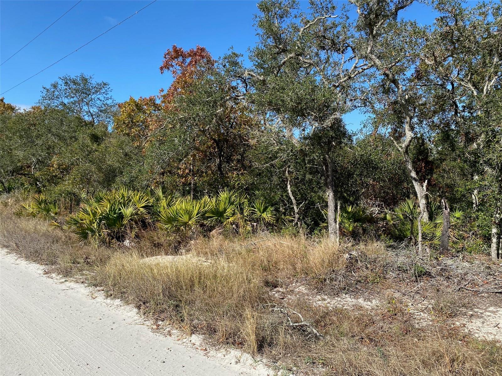 551 Turkey Oak Trl Property Photo 2