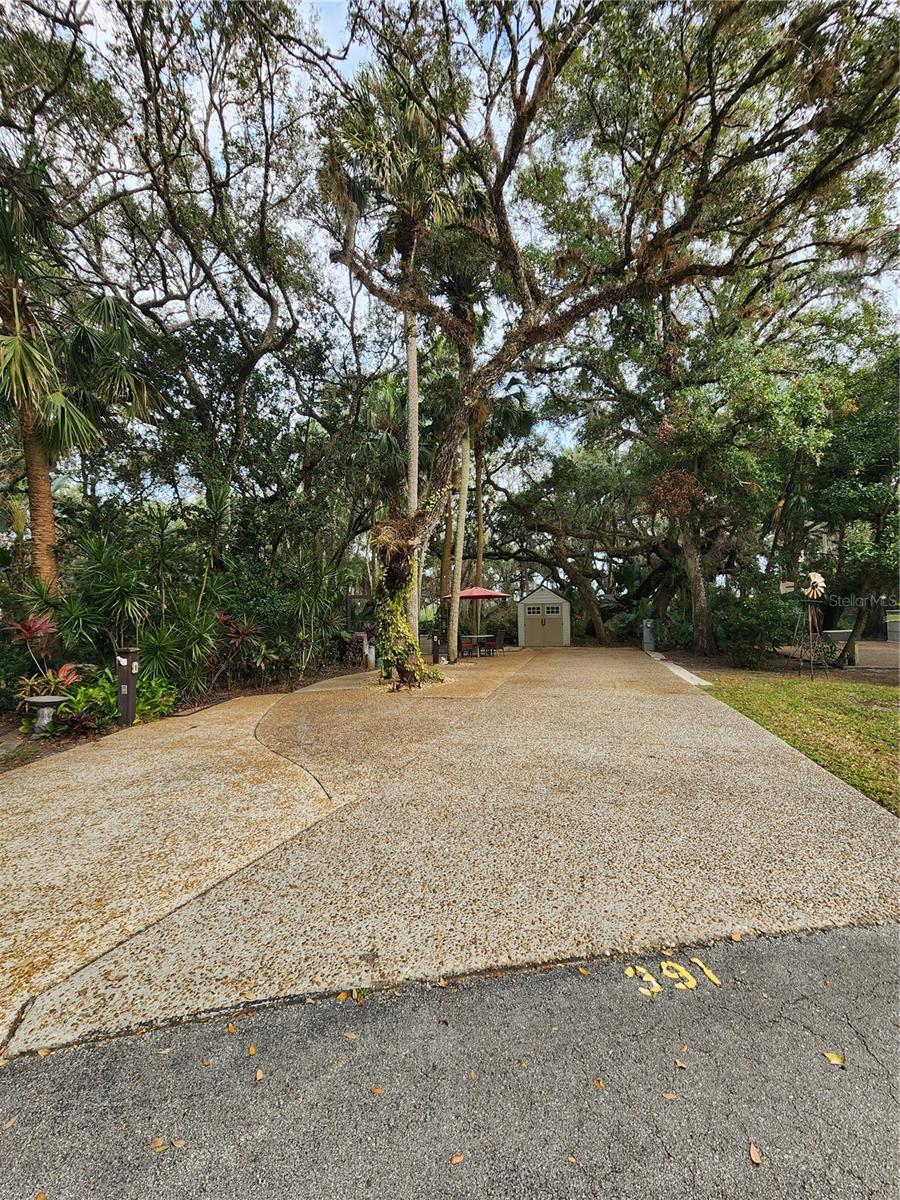 391 Longhorn Dr Property Photo 4