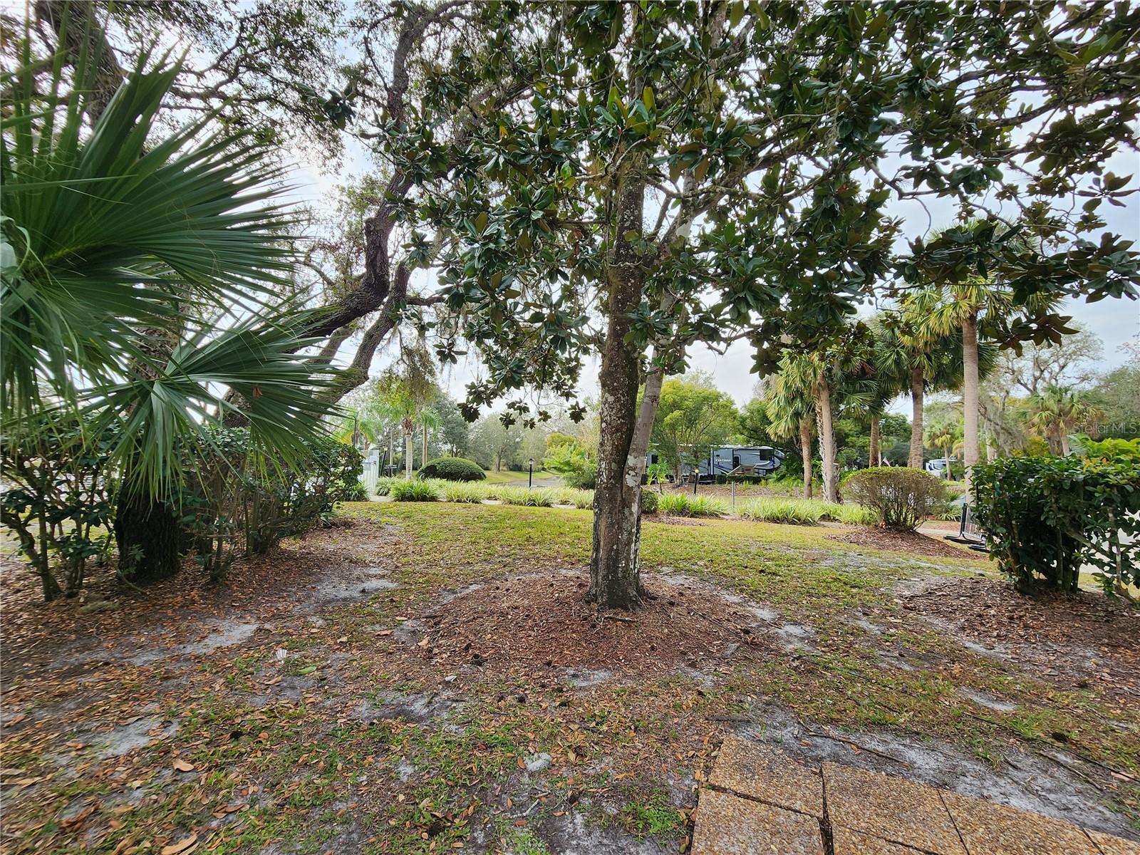 387 Longhorn Dr Property Photo 5